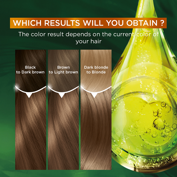 Garnier - Color Naturals