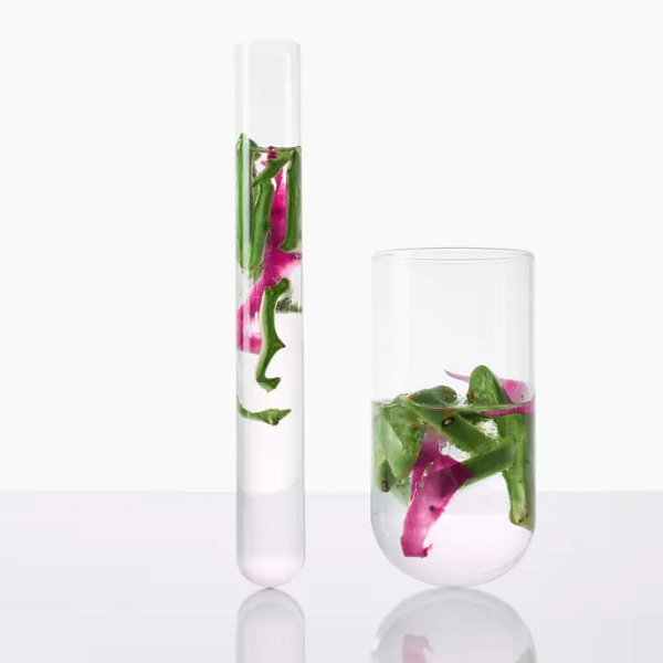 Klorane - Quenching Prickly Pear Shampoo