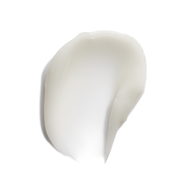 The Ordinary - Squalane + Amino Acids Lip Balm