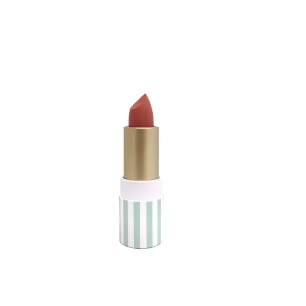 Amuse - Rich Color Matte Lipstick
