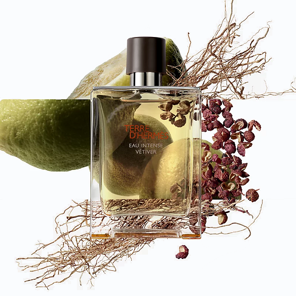 Hermes - Terre D'Hermes Eau Intense Vetiver