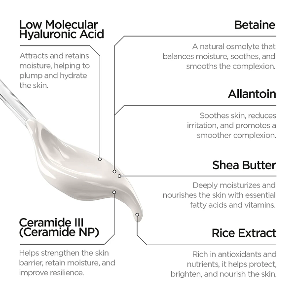 Revox B77 - Skintreats Biotic Regenerating Filling Balm