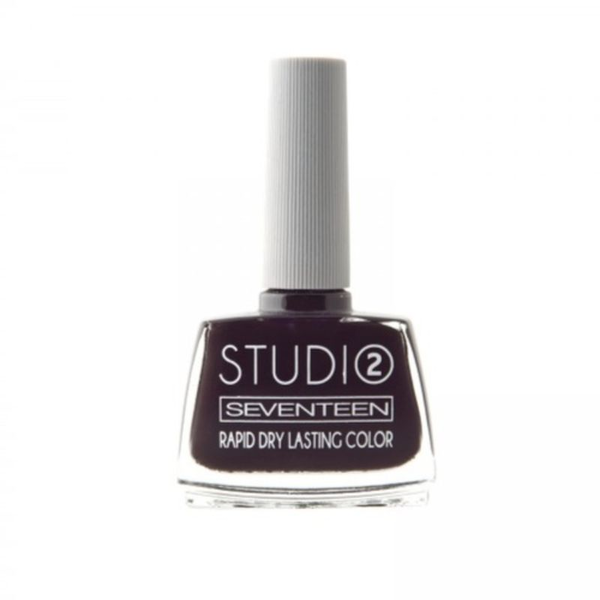 Seventeen - Studio Rapid Dry Lasting Color